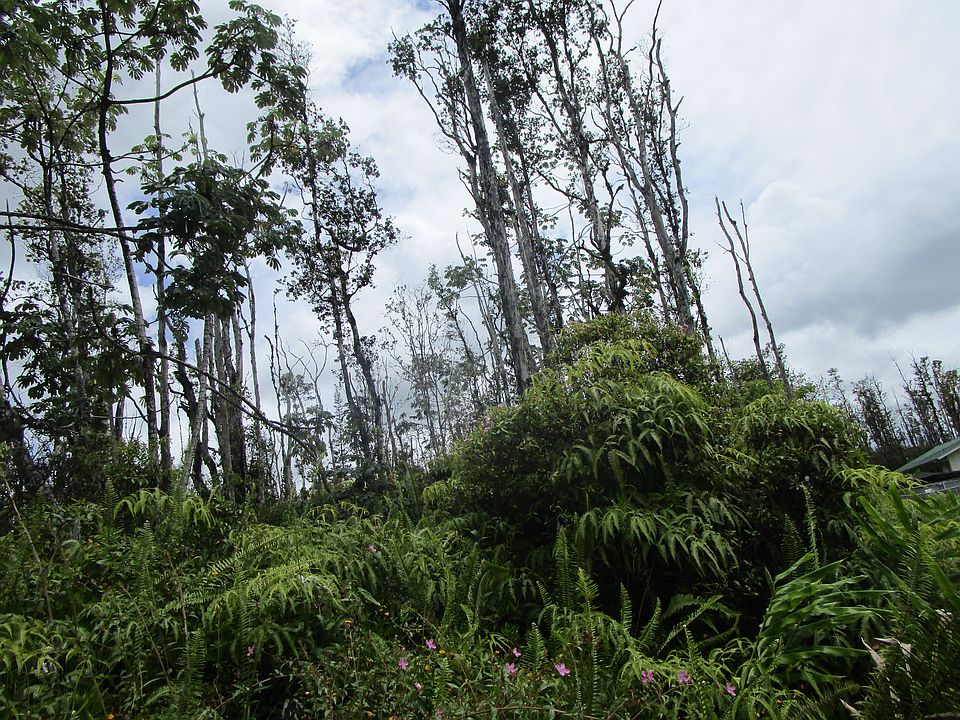 1st image of Bamboo Dr Lot 78