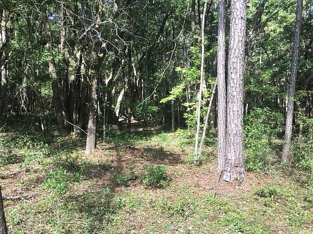 2nd image of 3 Robinson Oak Dr