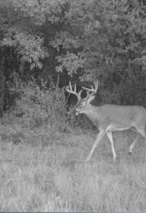 2nd image of 0 Lake Rd