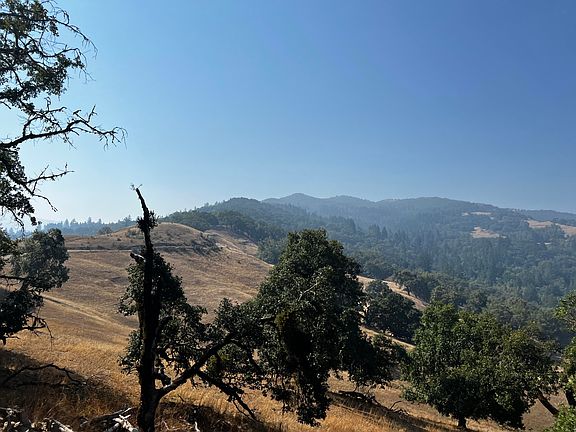 4th image of 1231 Island Mountain Ridge Rd