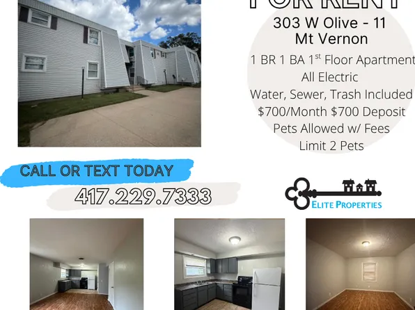 303 W Olive St APT 11, Mount Vernon, MO 65712