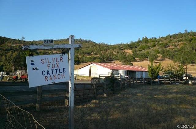 Silver Fox Cattle Ranch