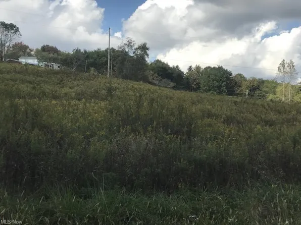 0 New Riley Rd, Dresden, OH 43821