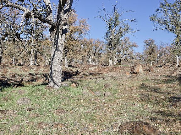4th image of 20190 Indian Rock Rd