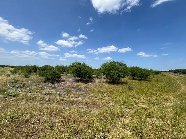 2nd image of 231 Alaniz Ranch Rd