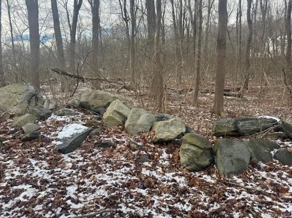 Lot 2 Eder Road, Stormville, NY 12582
