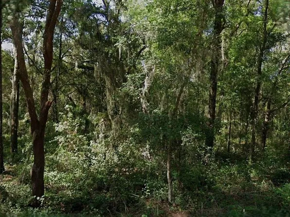8430 W RAINBOW OAKS COURT LOT 30, CRYSTAL RIVER, FL 34428