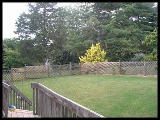 Great fenced back