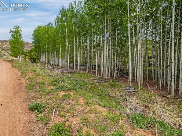 L1-B4 Columbine Cir, Woodland Park, CO 80863