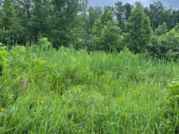 460 Prince Edward Hwy #7, Rice, VA 23966