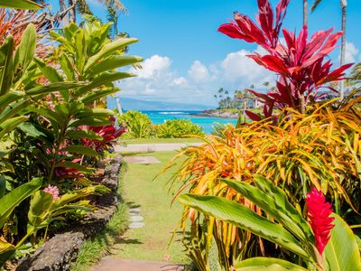 65 Hui Dr #H-7, Lahaina, HI, 96761