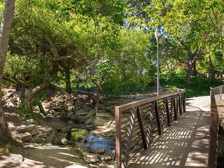 Neighborhood park with creek and lots of nature