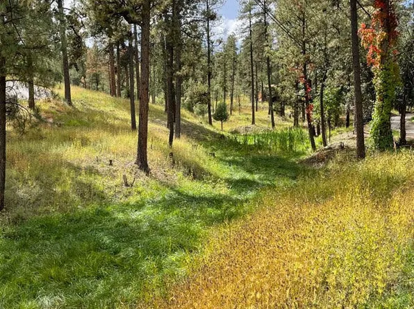 311 Pine Rd, Ruidoso, NM 88345