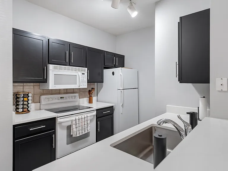 4207 S Dale Mabry Hwy #6111 — Photo 6