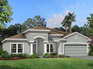 8226 Mallow Mirror Ln, Land O Lakes, FL 34637