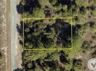 553 Naples Ave S, Lehigh Acres, FL 33974