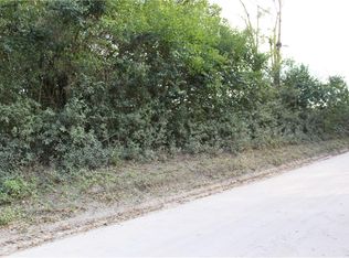 10350 Newsome Rd, Dade City, FL 33525