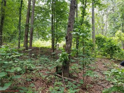 0 A Donald Rd Lot 34, Canton, GA, 30114