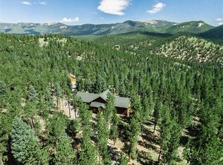 75 Two Bits St, Bailey, CO 80421