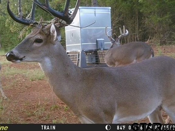 2nd image of County Road 440