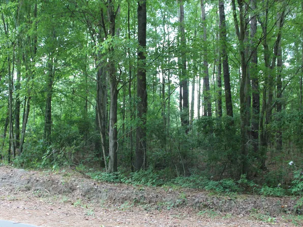 0 Beady Blvd, Santee, SC 29142