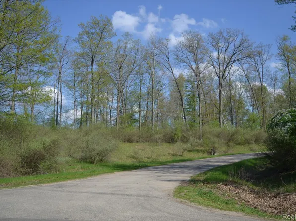 0 Oak Rdg, Prescott, MI 48756