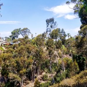 4474 Arch St, San Diego, CA, 92116