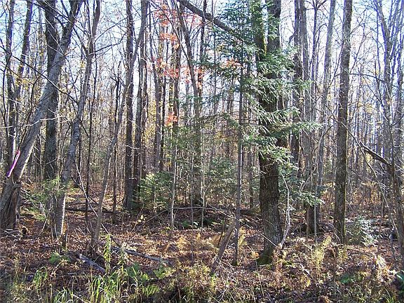 4th image of 0 N South Clover Road