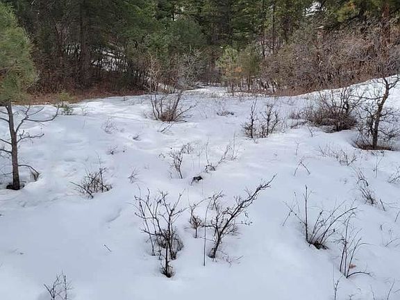 3rd image of 21460 Highway 96