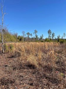 TBD Mincey Dr. #TR 8-A, Loris, SC, 29569