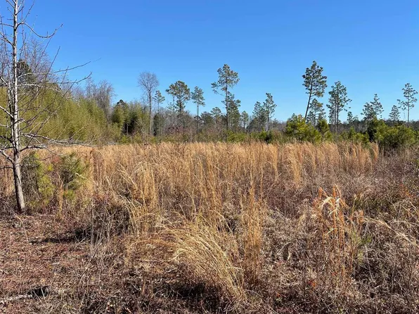 TBD Mincey Dr. #TR 8-A, Loris, SC 29569