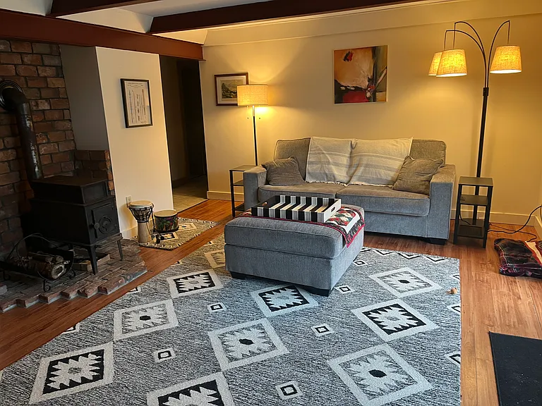 Living room with woodstove