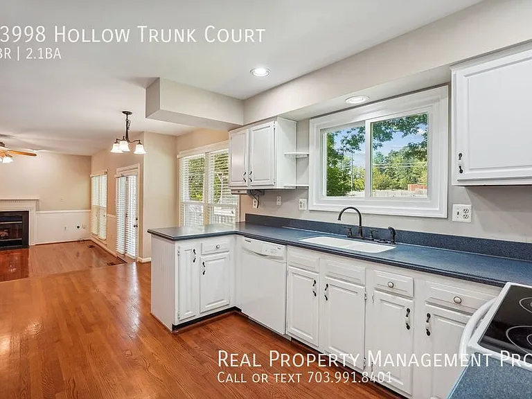 13998 Hollow Trunk Ct — Photo 8