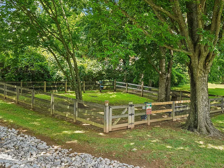 The Ashley Pet Park Area