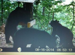 Hc 65 181d, Kingston, AR 72742