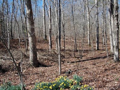 5 Pickett Cross Rd, Whitwell, TN, 37397