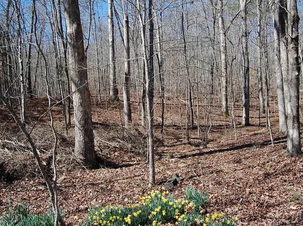 5 Pickett Cross Rd, Whitwell, TN 37397