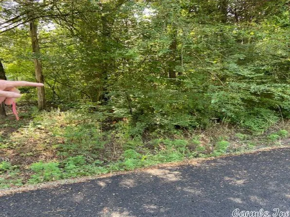 54 Silagy Dr, Higden, AR 72067