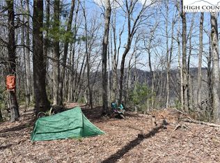 Tbd Waterfall Rd, Sparta, NC 28675