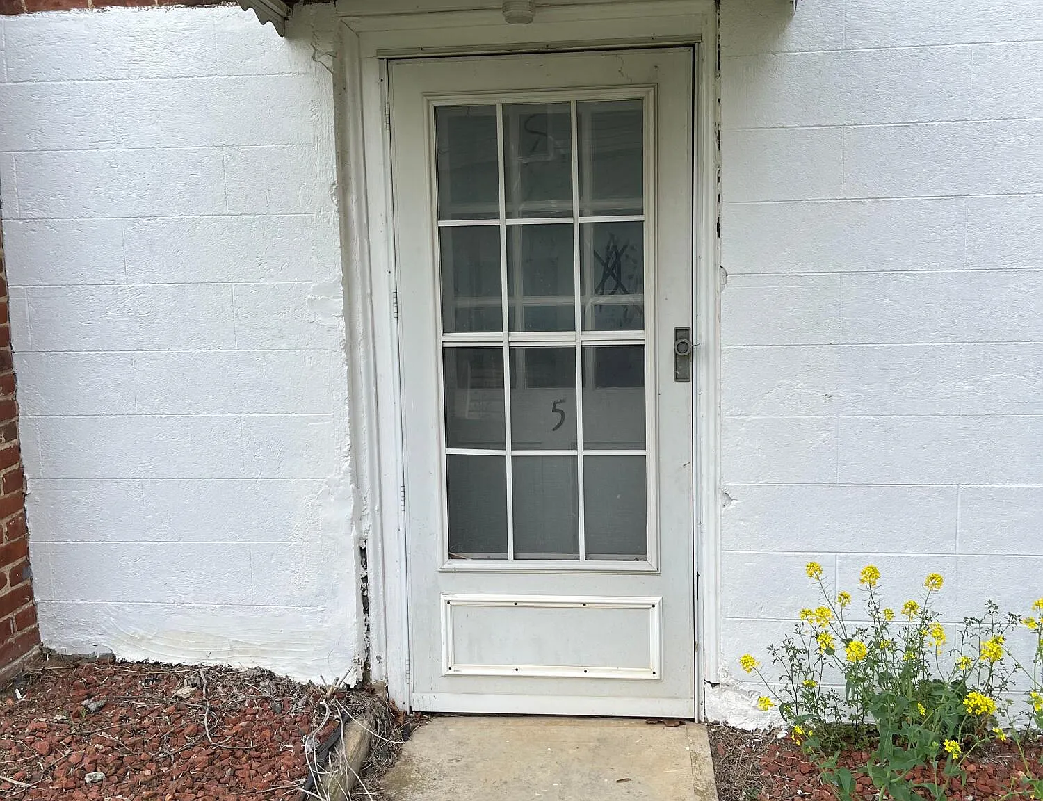 1 bed, 1.0 bath, 2000 sqft, $1,225 — Photo 3