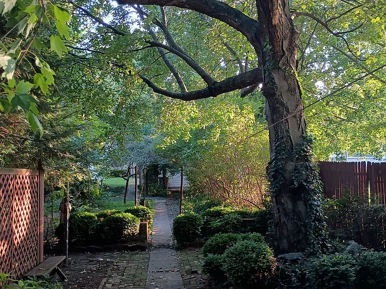 Back yard from rear screened-in porch