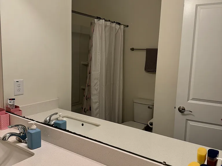 Guest bathroom