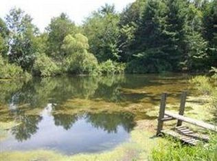 763 Route 39, Forestville, NY 14062