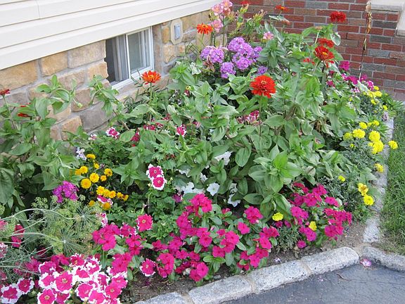 Beautiful Landscaping