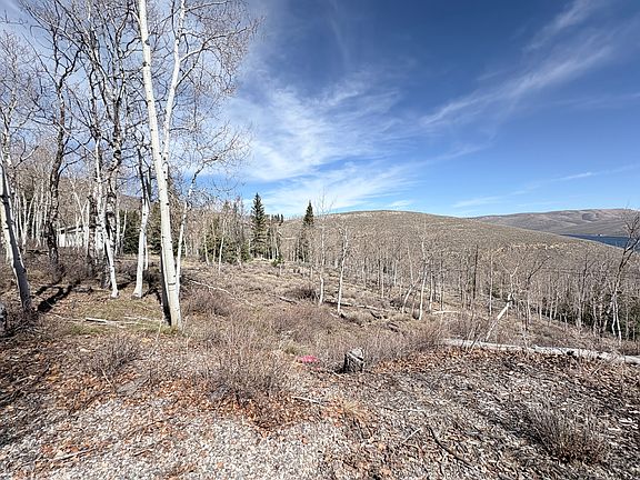 2nd image of 10 N Lake View Dr