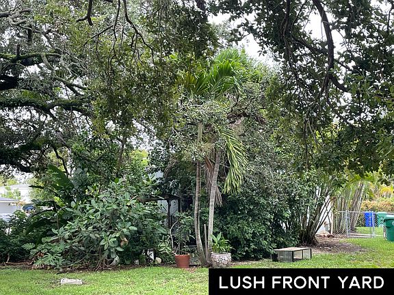 Beautiful vegetation