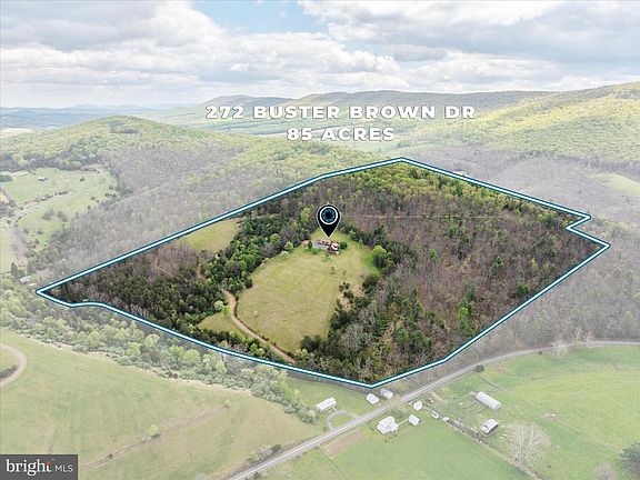 2nd image of 272 Buster Brown