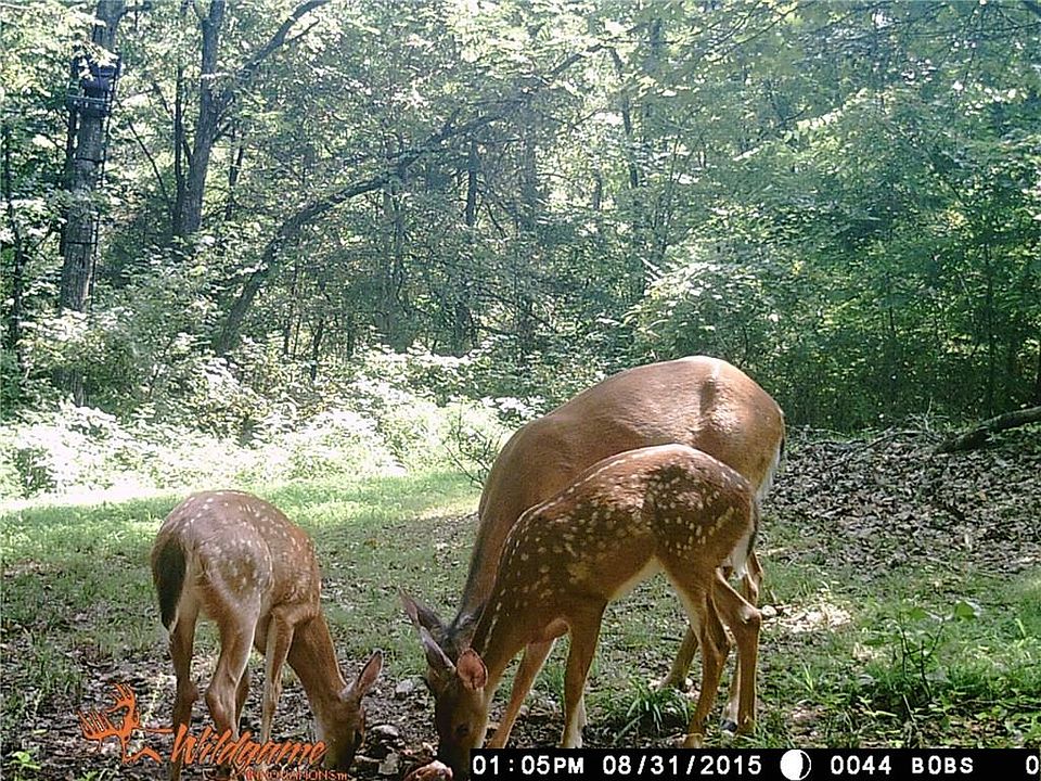1st image of 16040 Chinquapin Ln