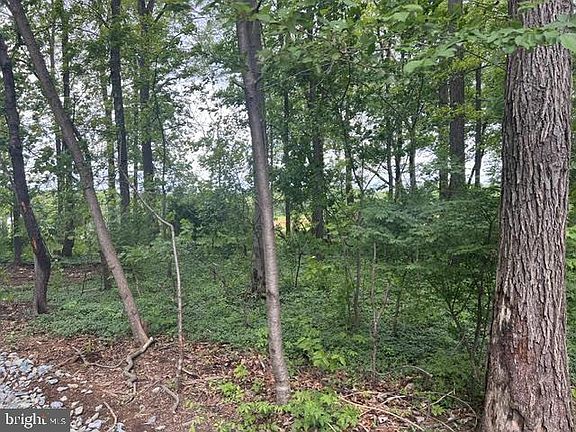 5th image of 1085 Stoney Hill Rd