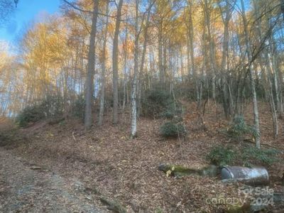 0 Stamey Branch Rd, Newland, NC, 28657